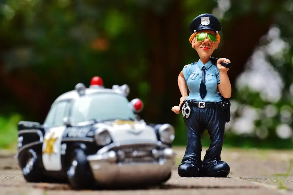Policie Modrava Epizody